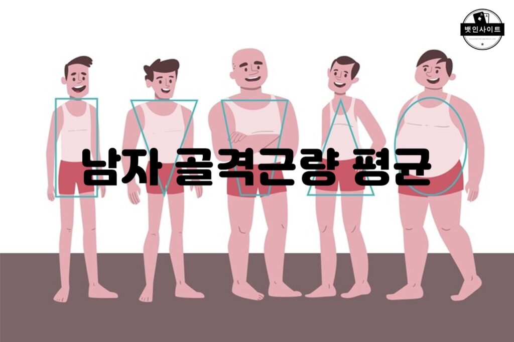 남자 골격근량 평균