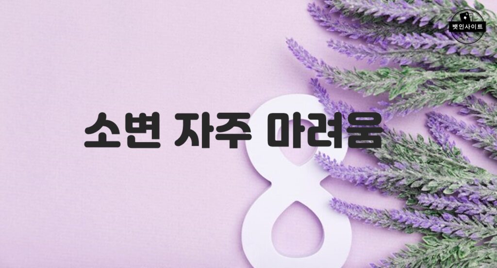 소변 자주 마려움